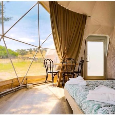 Caravans Park & Glamping Tents In The Vineyard Turda Exterior foto