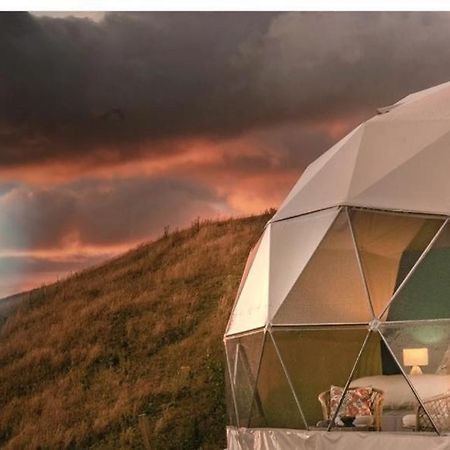 Caravans Park & Glamping Tents In The Vineyard Turda Exterior foto