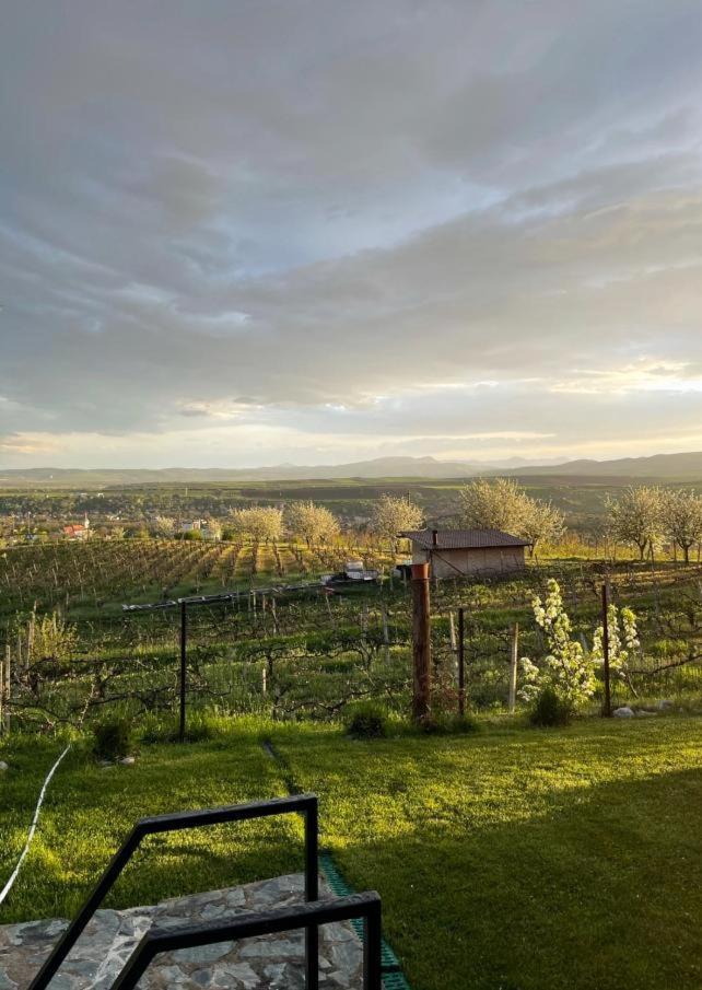 Caravans Park & Glamping Tents In The Vineyard Turda Exterior foto
